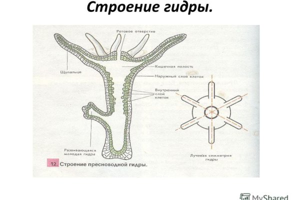 Кракен маркетплейс тор