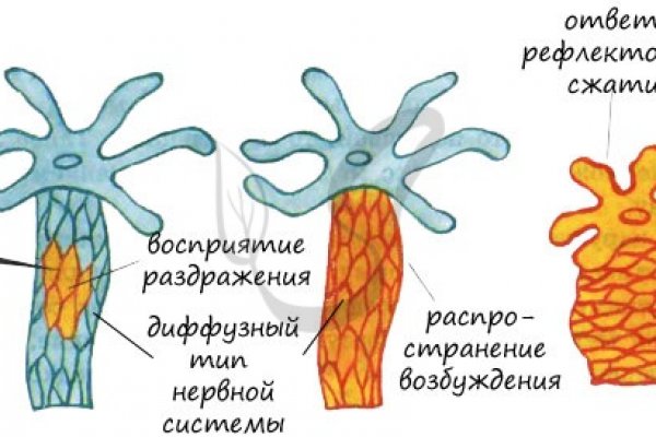 Kra26.at