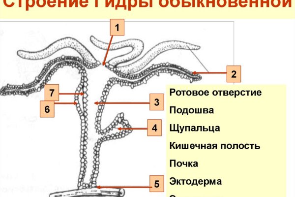 Kraken что это за сайт