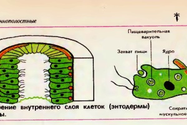 Кракен нарк